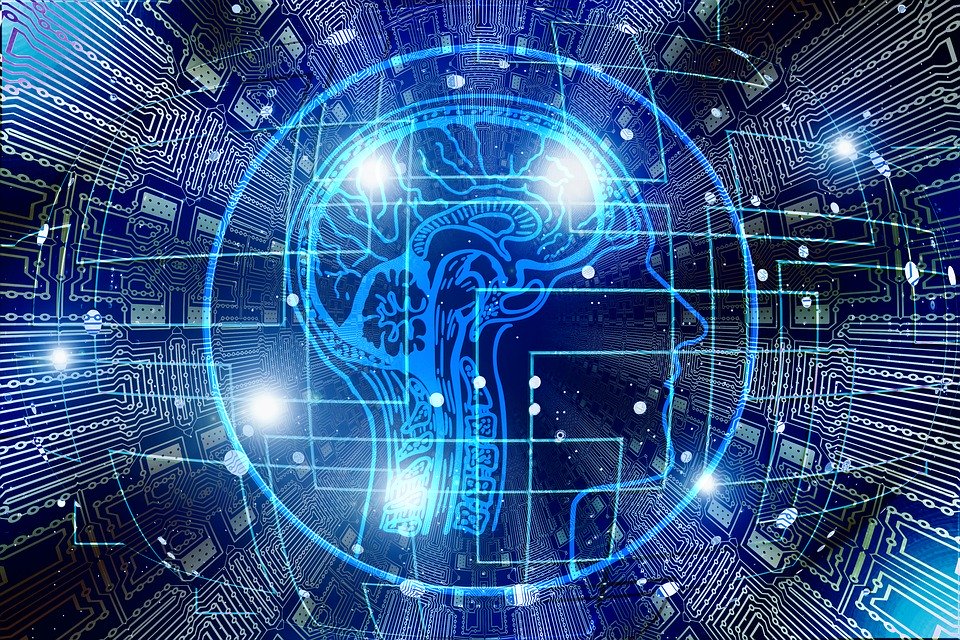 Cerebro Emprendedor; Dirección