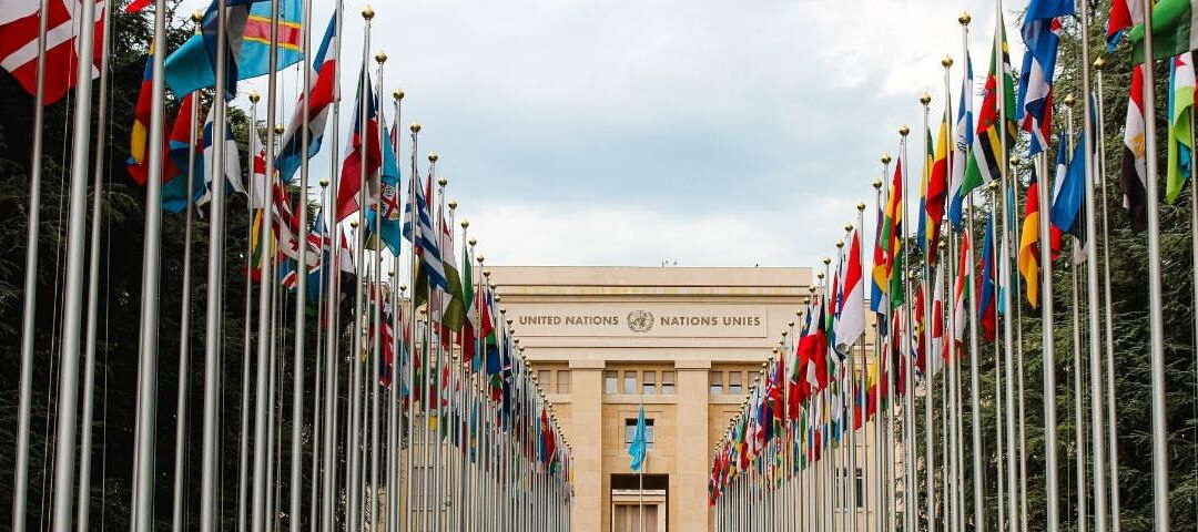 Federación Universal para la Paz / Status ECOSOC ONU