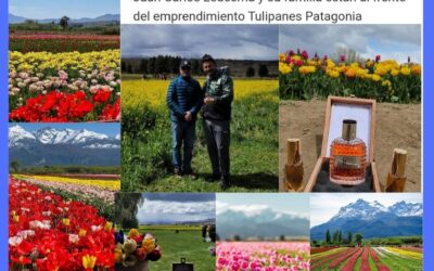 Empresarios de Campos de Tulipanes PATAGONIA